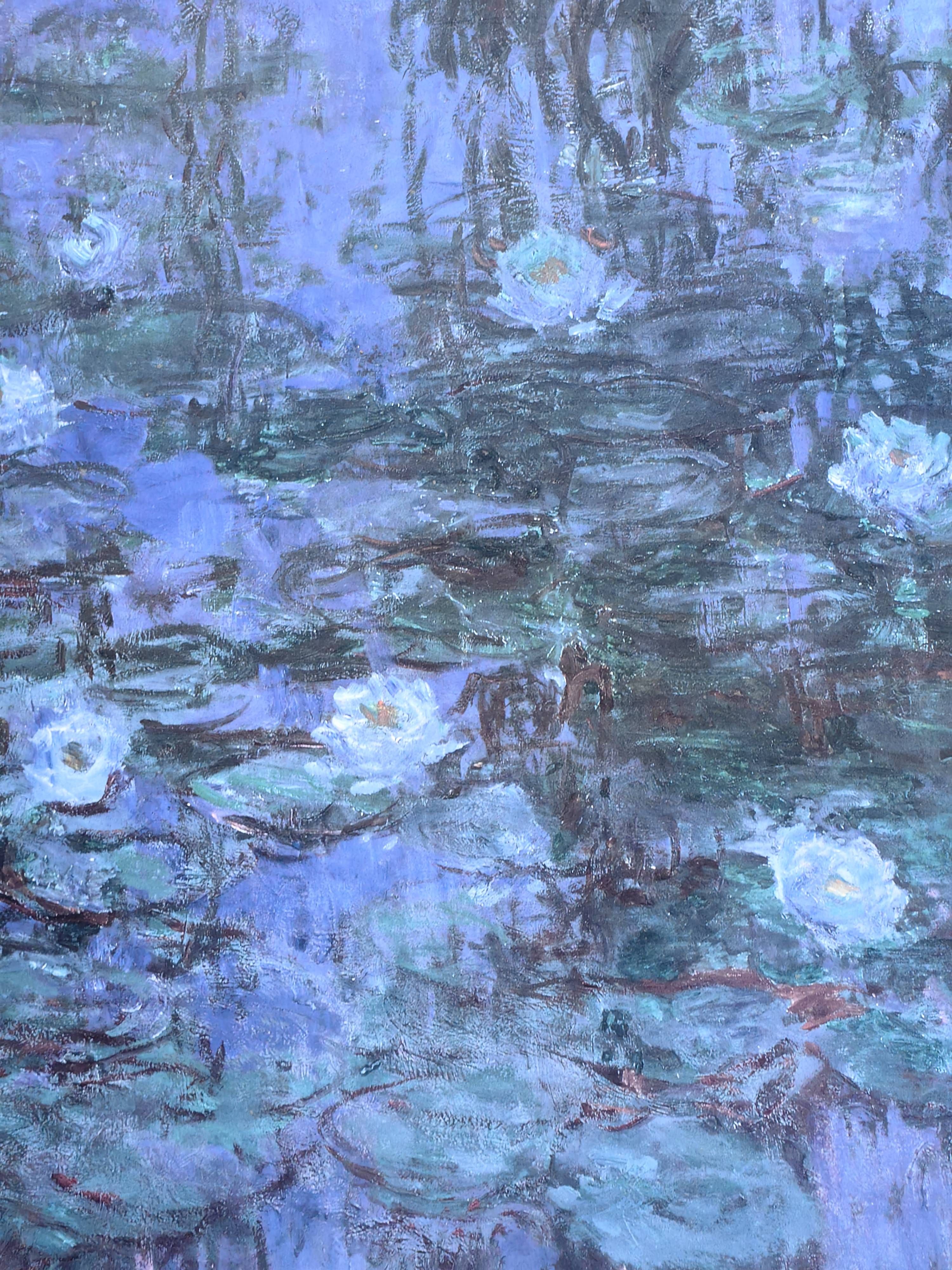 Blue Water Lilies (Nympheas bleus) - Additional view