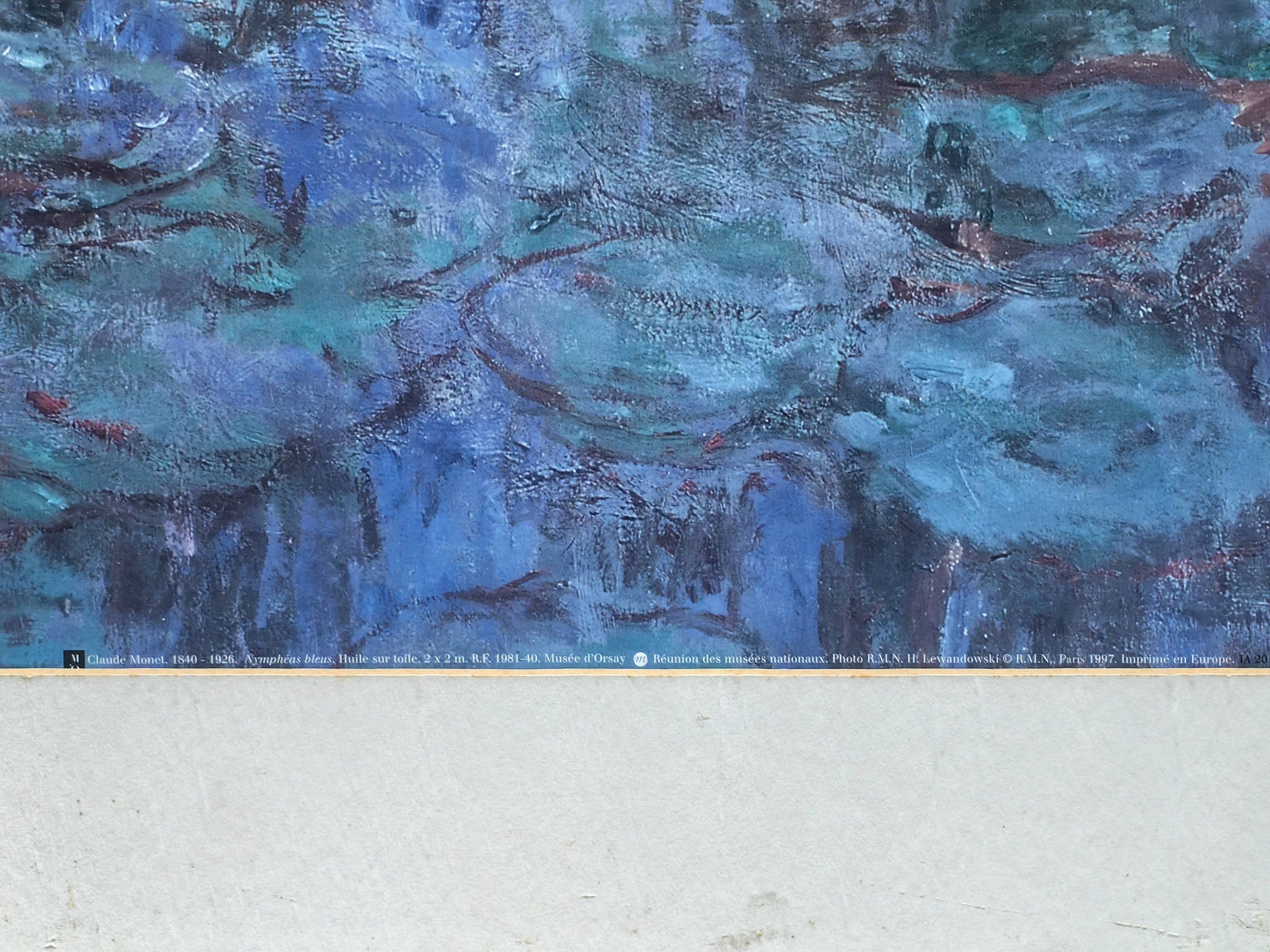 Blue Water Lilies (Nympheas bleus) - Additional view