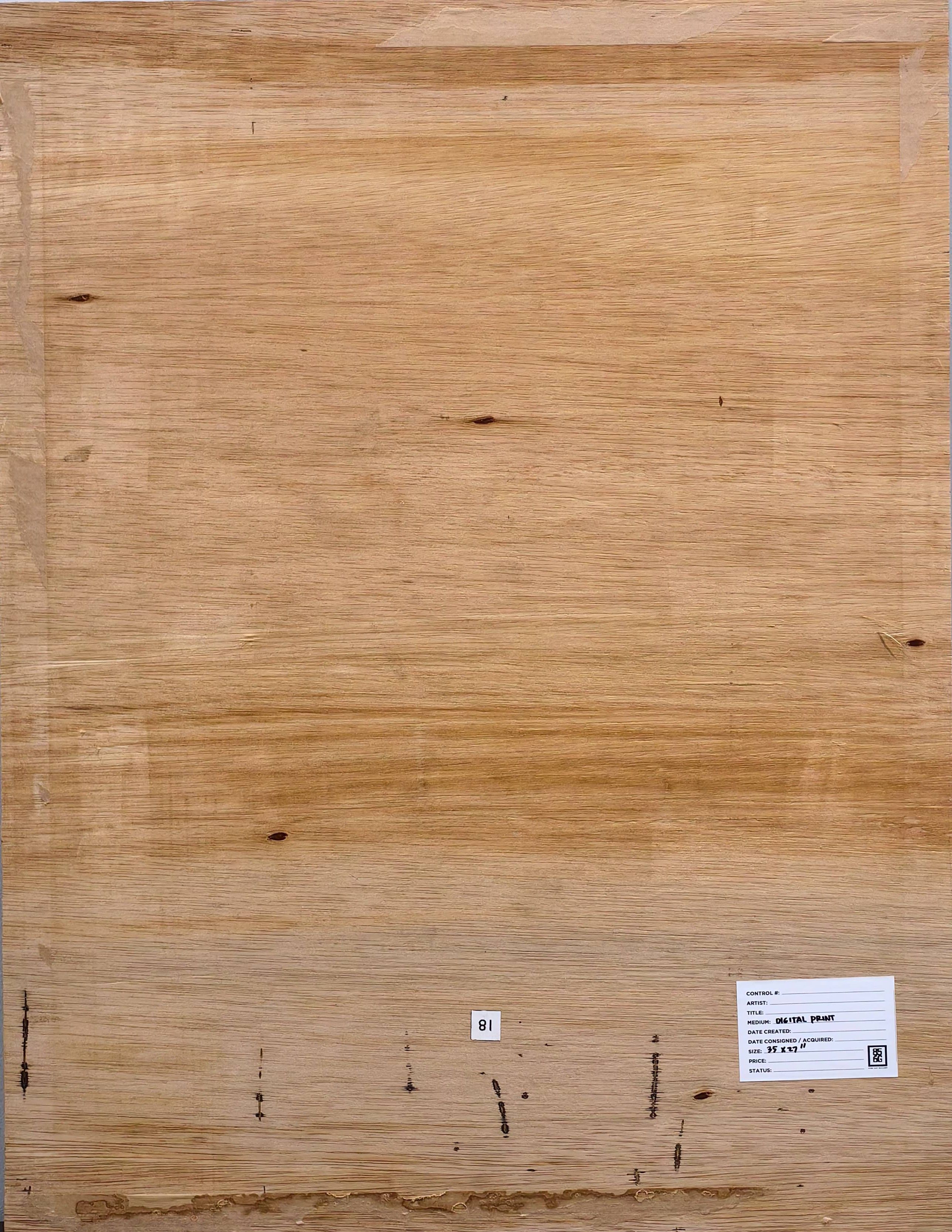 Blue Water Lilies (Nympheas bleus) - Additional view