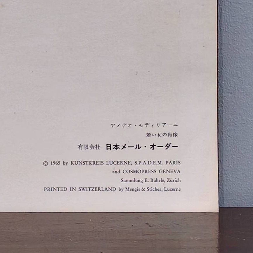 Portrait of a Young Lady  - Additional view