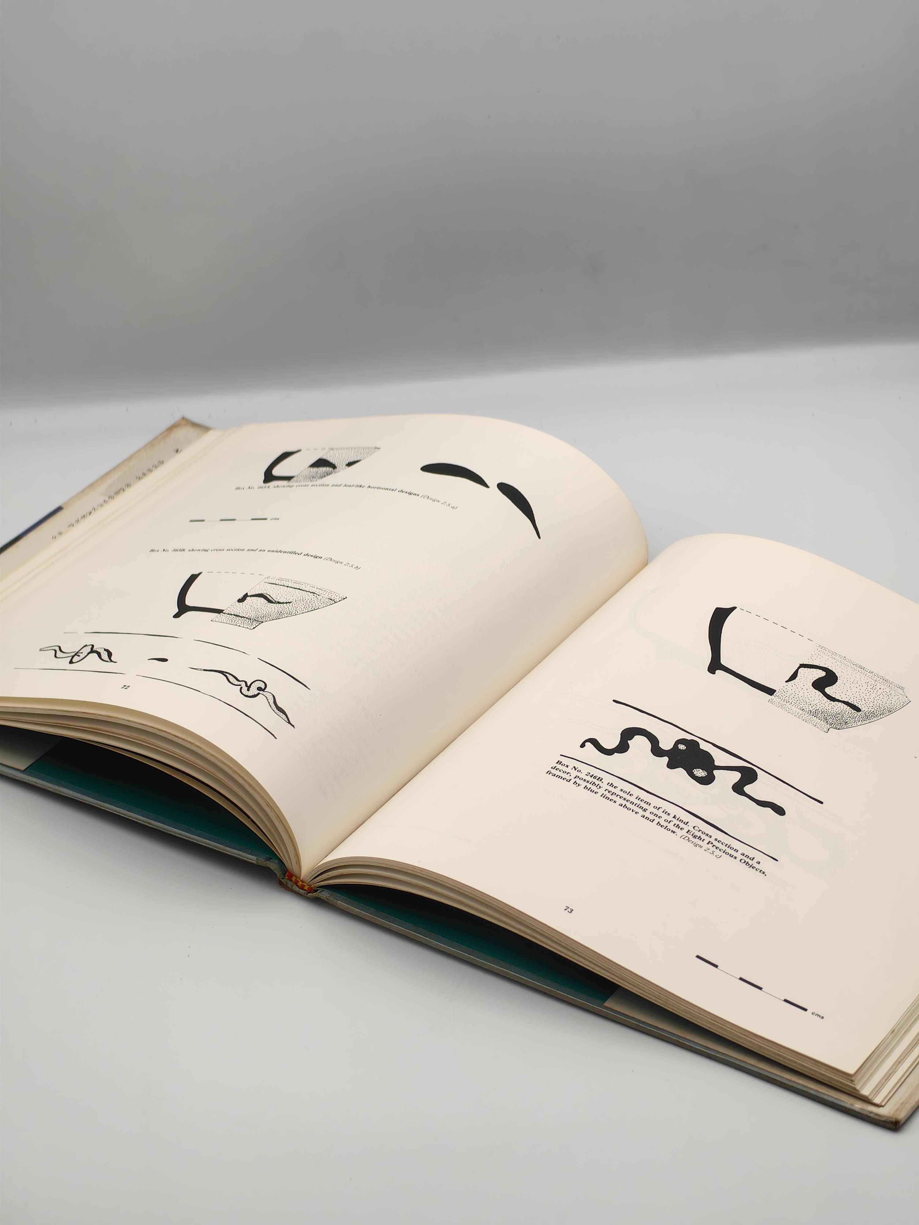 Discovery and Archaeological Excavation of a 16th Century Trading Vessel in the Philippines - Additional view