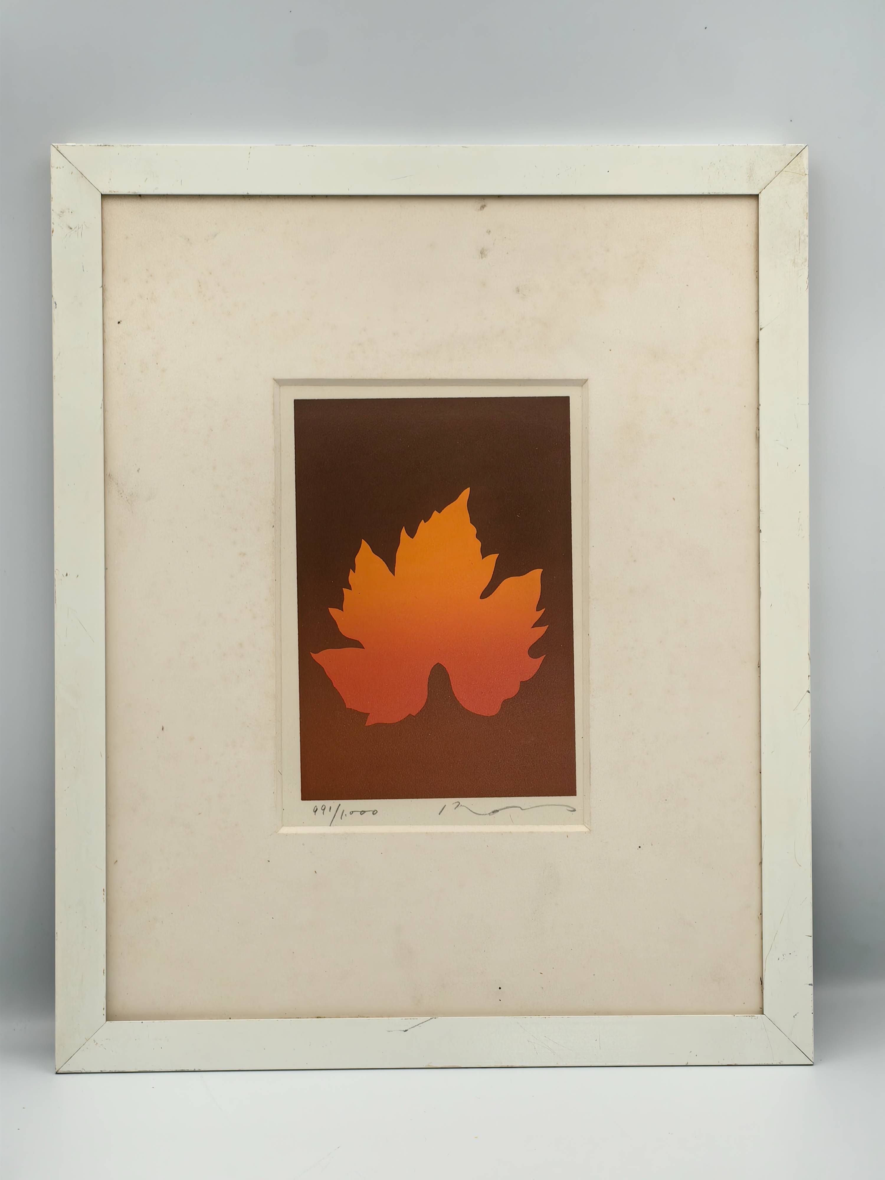 Fleur d’été (Summer Flower)