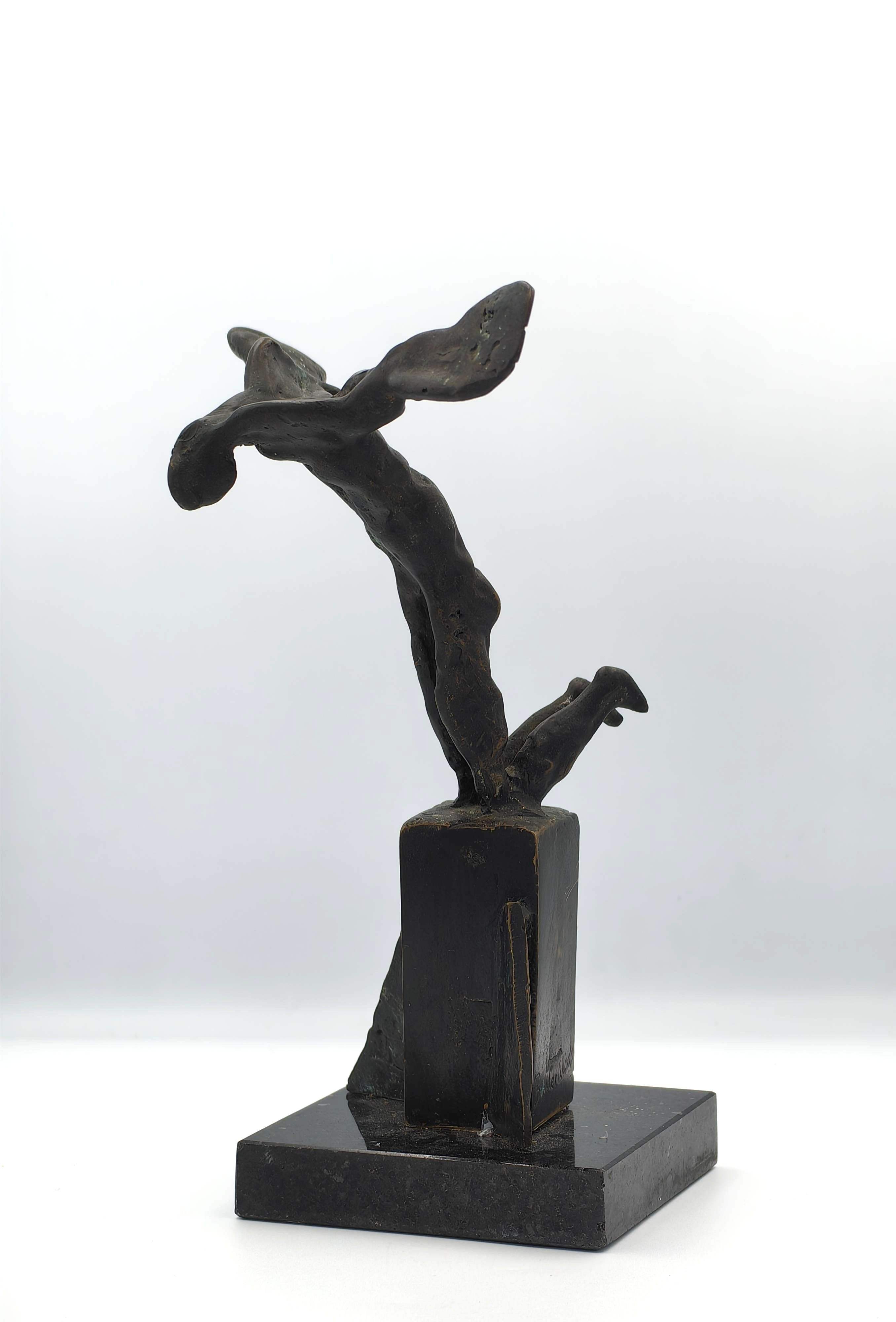 Ikarus - Additional view