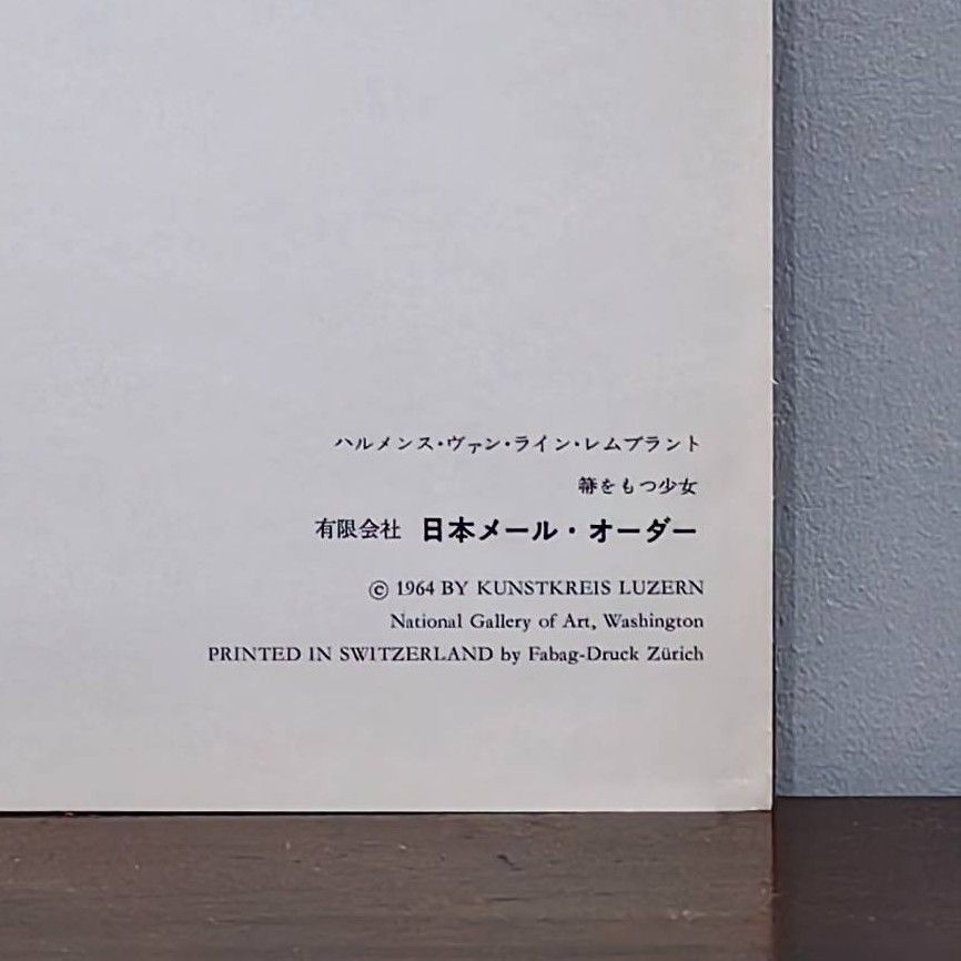 Girl with a Broom - Additional view