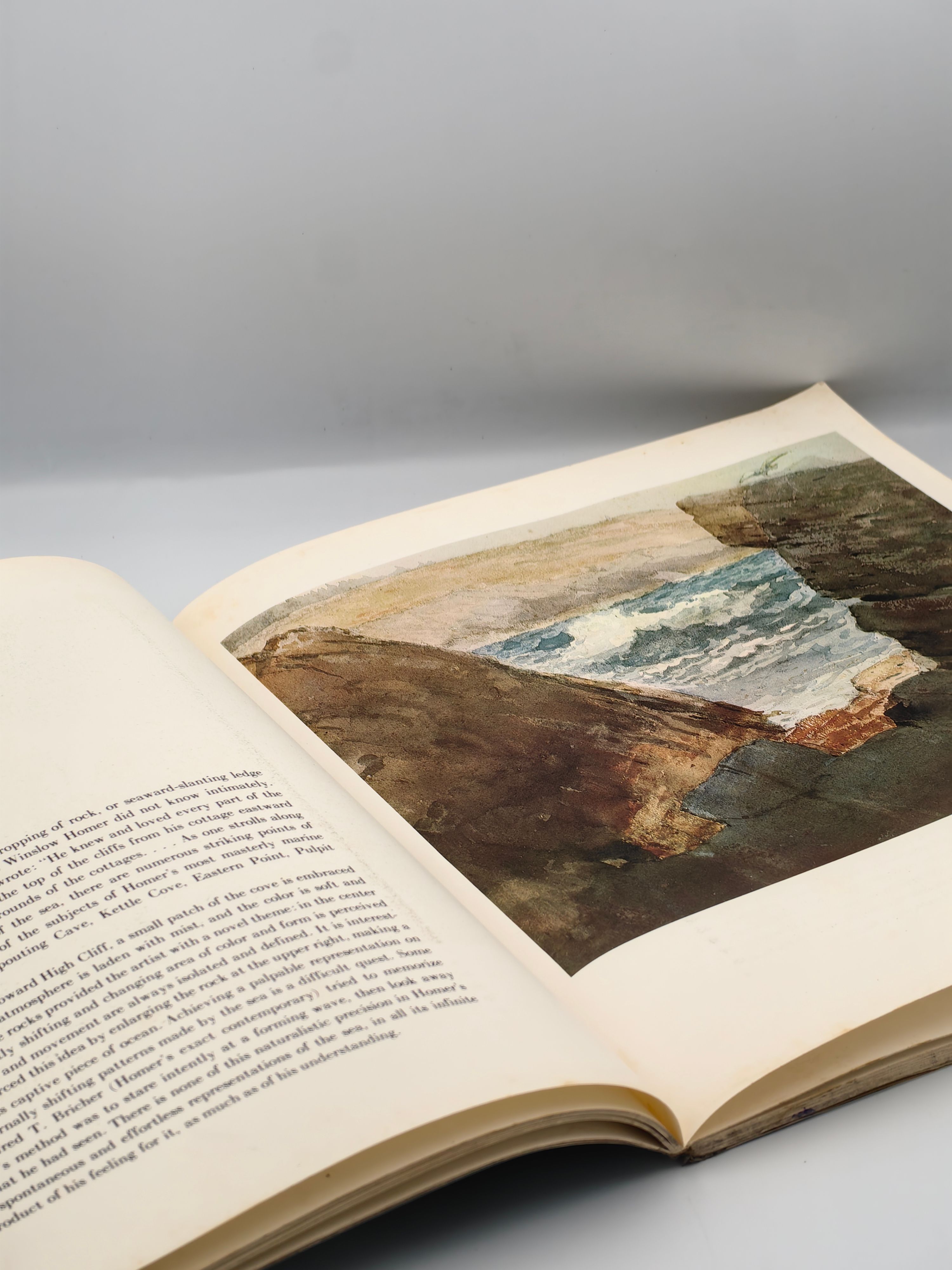 Winslow Homer Watercolors - Additional view