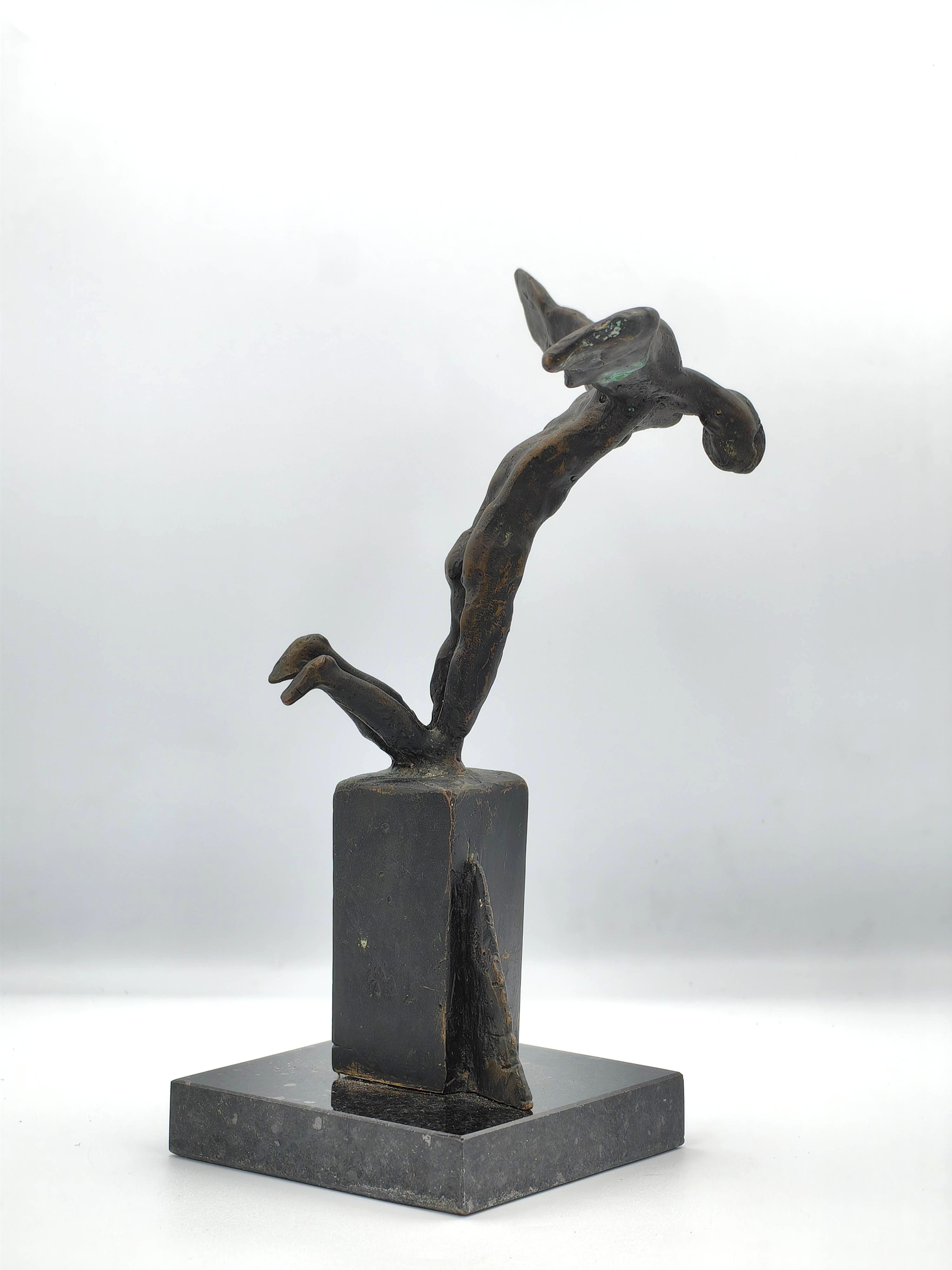 Ikarus - Additional view