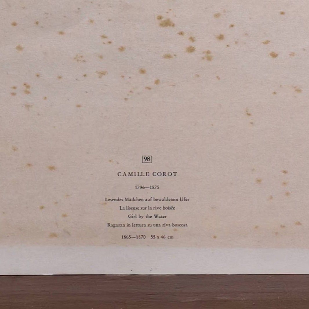 Water Lilies - Additional view