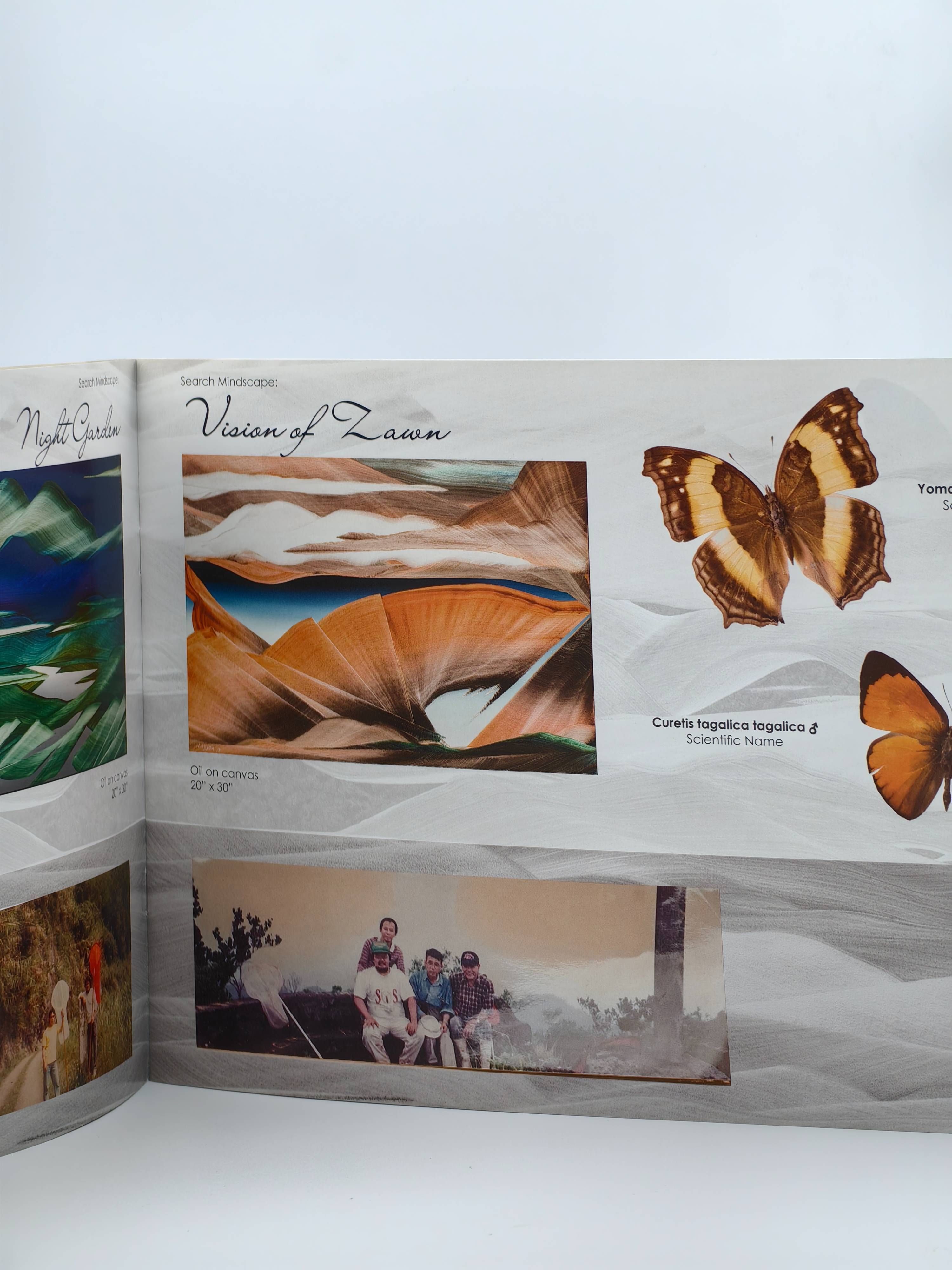  Justin Nuyda of colors and places: A tribute to a butterfly hunter and a master in Philippine Art - Additional view