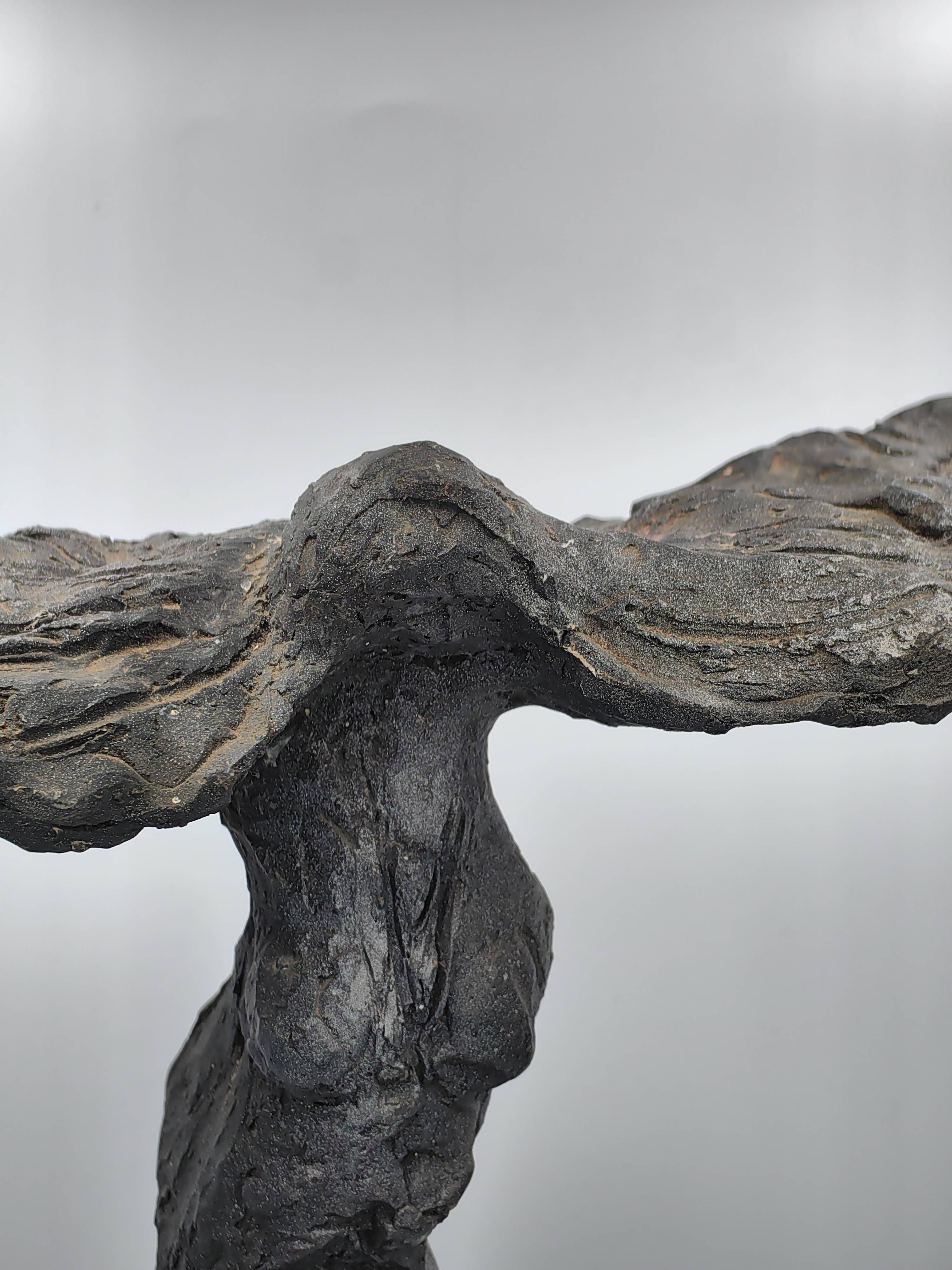 Ikaria - Additional view