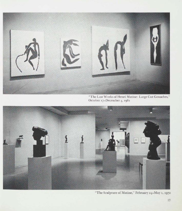 Matisse in the Collection of the Museum of Modern Art - Additional view