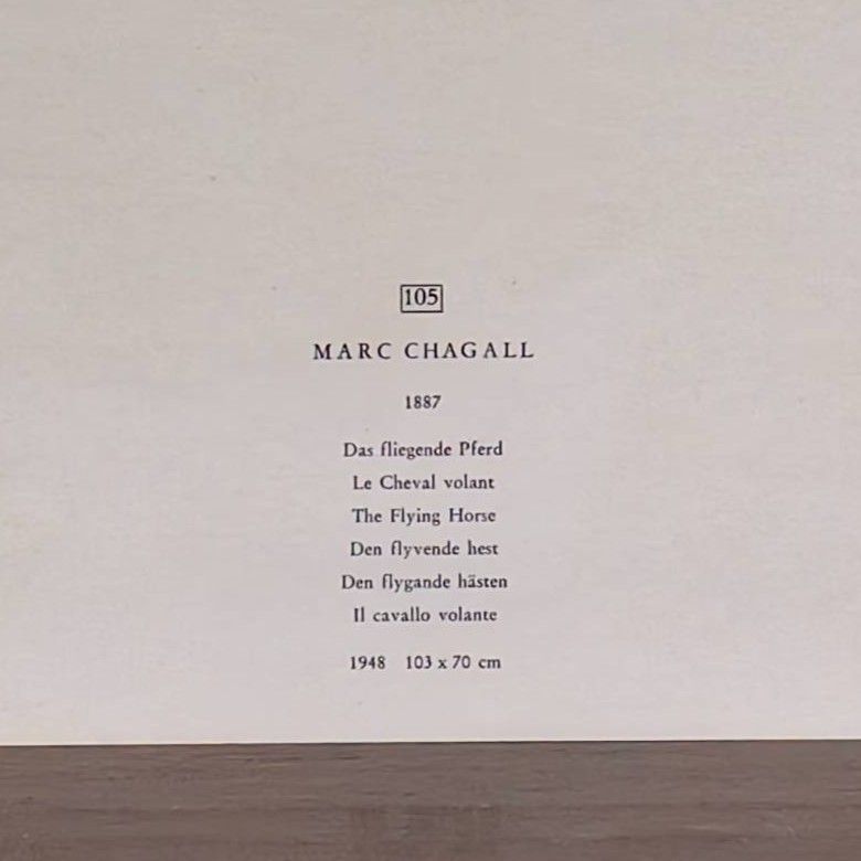 The Flying Horse  - Additional view