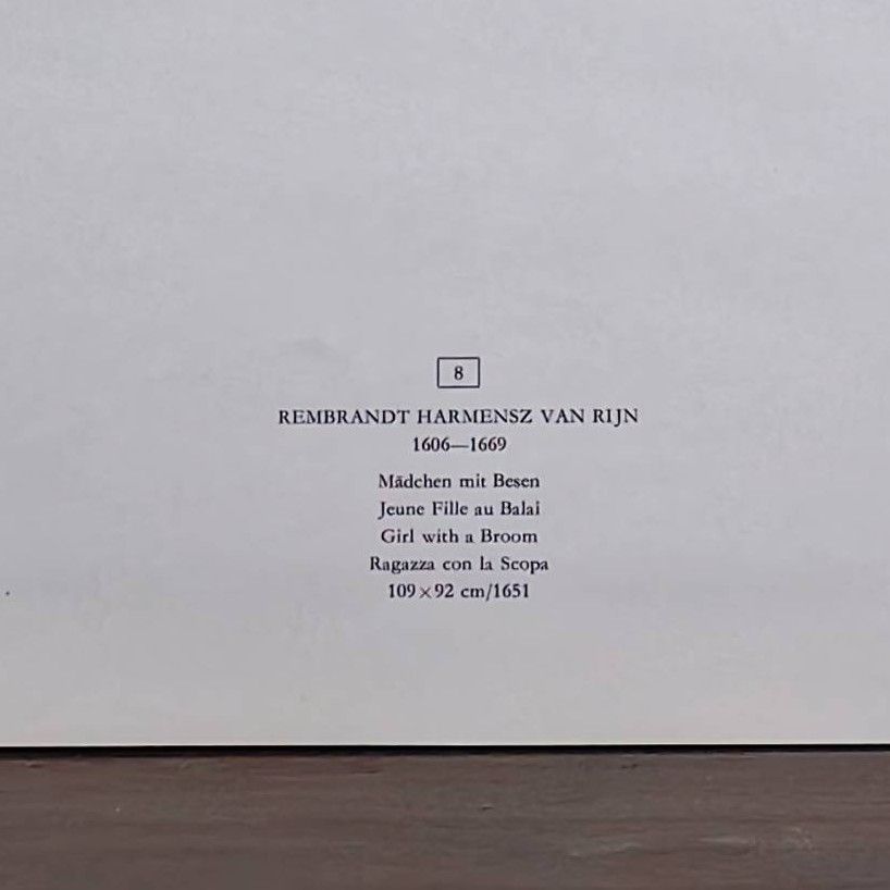 Girl with a Broom - Additional view