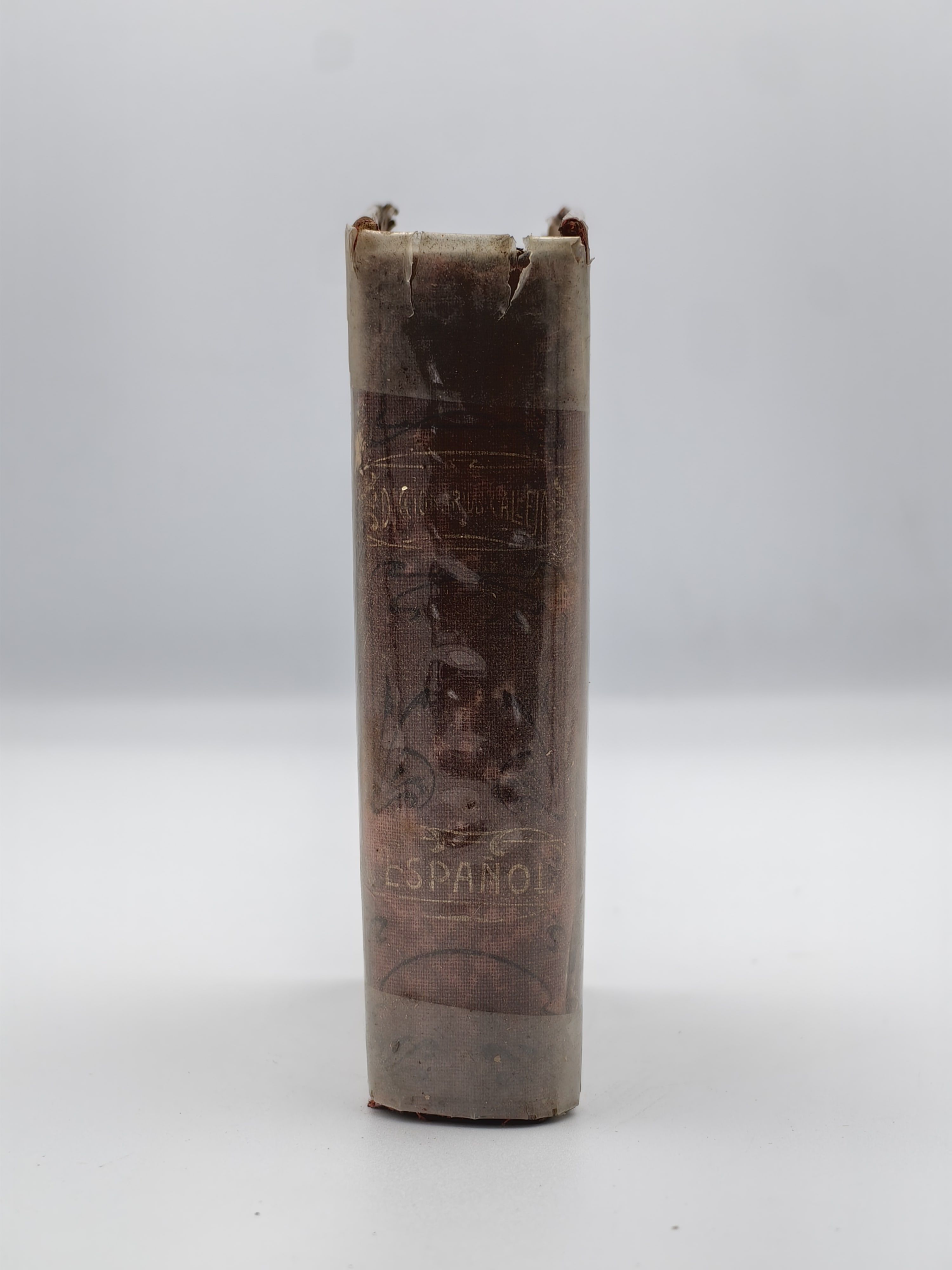 Rare Linguistic Diploma and Dictionary Set: Emeterio Barcelon y Barcelo-Soriano – Real Academia Española Appointment & Saturnino Calleja Spanish Pocket Dictionary - Additional view