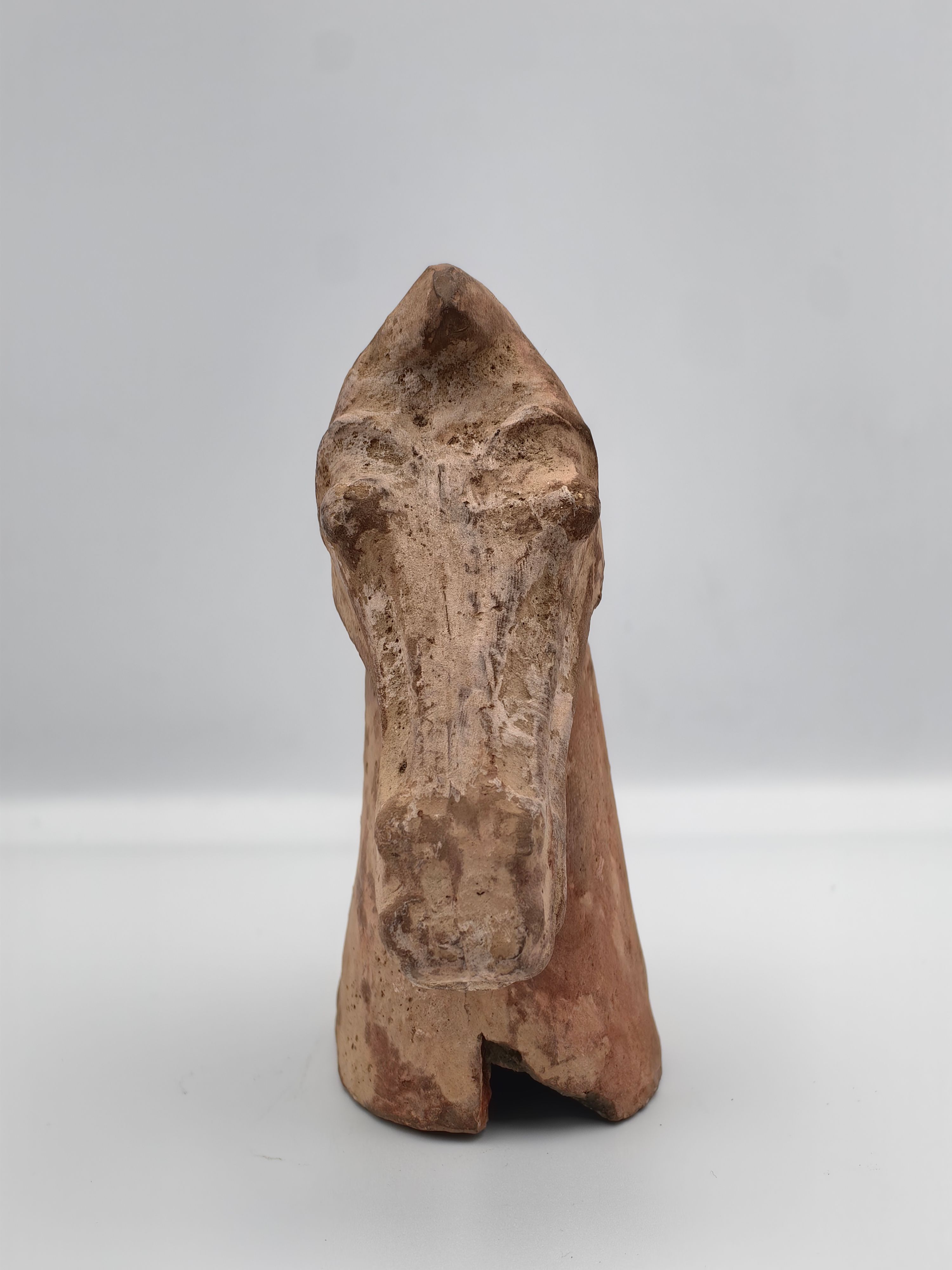 Terra Cotta Horse Head - Additional view